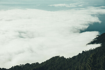 Mar de nubes al lado de un bosque de montaña