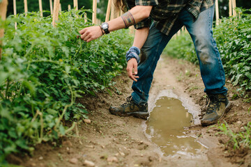 A Farmer in the Field