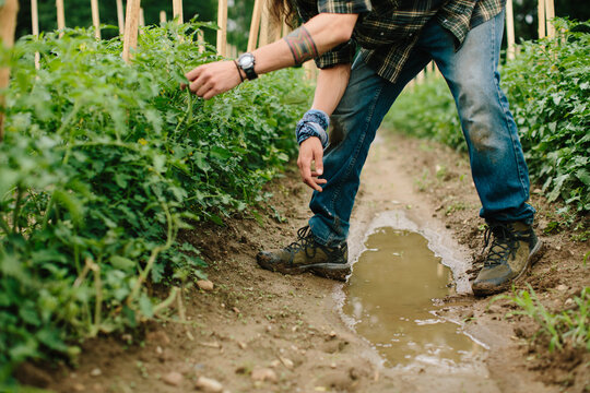 A Farmer in the Field
