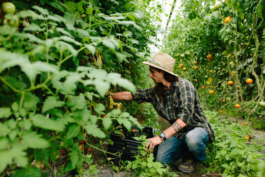 A Farmer in the Greenhouse