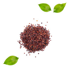 Chenopodium quinoa - Raw black quinoa seeds