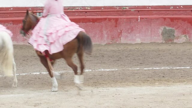a group of mexican escaramuzas with white and pink dresses performing a stunt on their horses
