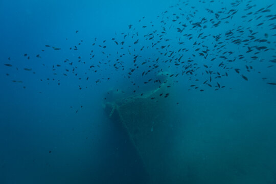 Depths Of The Sea 