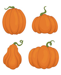 Set of orange pumpkins for autumn or halloween decor