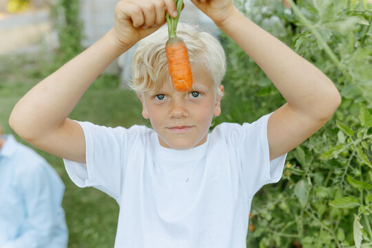 Young boy holding up carrot