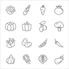 Vegetables icons set. Vegetables pack symbol vector elements for infographic web