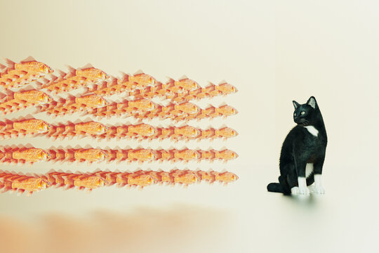 Surreal cat and goldfish