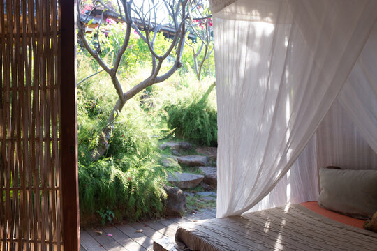 garden view from a wooden house