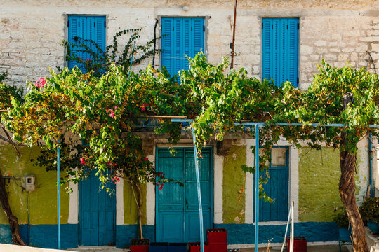 Bar with grapevine Greece