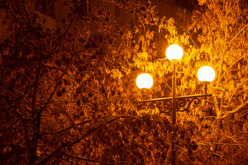 Night. The lantern is illuminated against the background of vegetation
