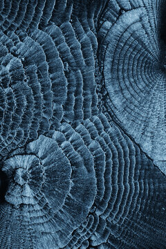 Abstract ripples background