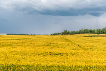 Storm Clouds