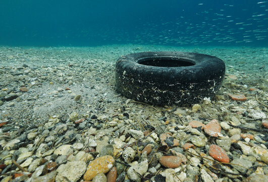Macroscopic Water Pollution Car Tire Underwater