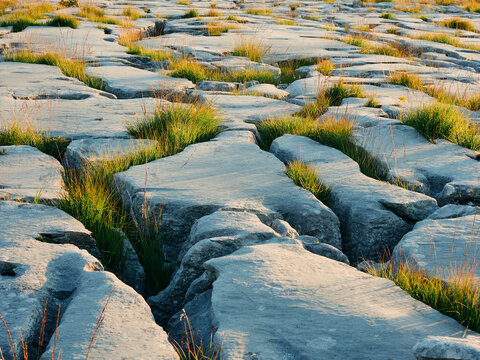 Limestone pavement detail of cracks