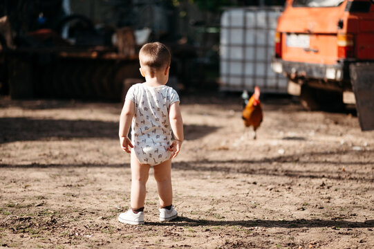 Boy in yard with rooster