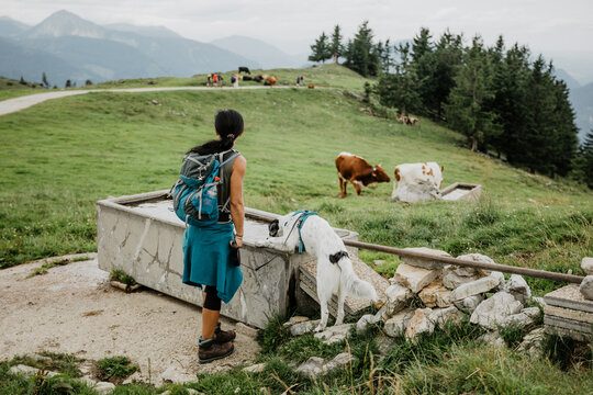 on the alm