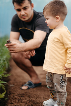 Father showing snail to son.