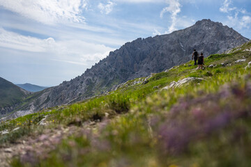Couple hiking on a mountain grass with flowers