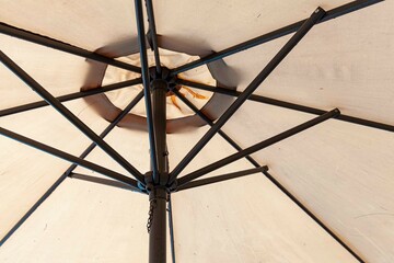Close-up light brown stem garden umbrella