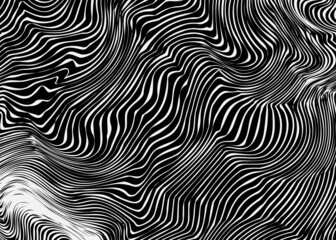 Zebra black and white stripes pattern abstract background