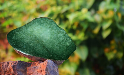 Jade is a green jade cube.