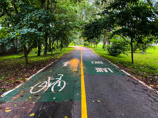 Afternoon bike lane after rain