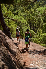EXCURSIONISTAS POR UN SENDERO