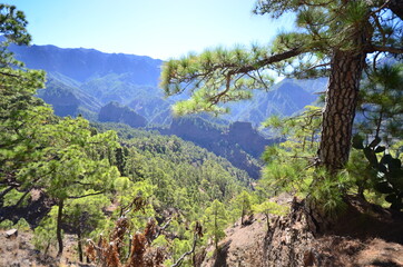 Fototapeta premium VISTAS DE LA CALDERA DE TABURIENTE, EN LA ISLA DE LA PALMA, ISLAS CANARIAS