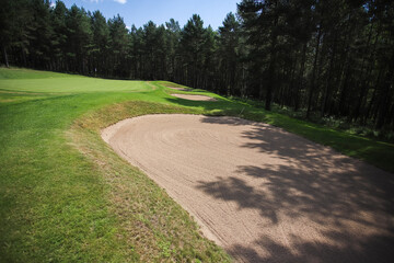 Golf course in the middle of the forest glade. 