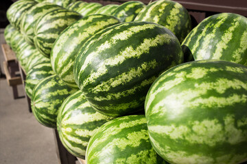 Pile of watermelons on the market counter.