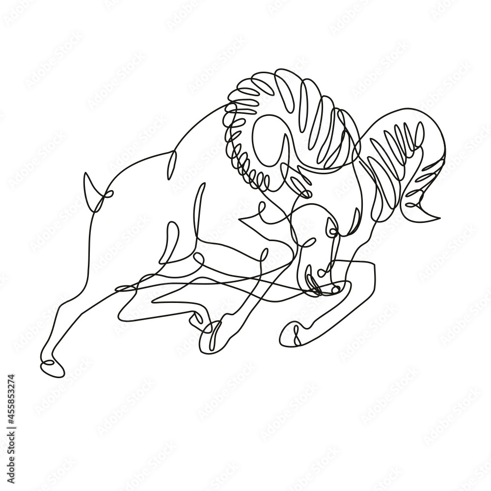 Poster continuous line drawing illustration of a bighorn sheep ram jumping and attacking done in mono line 