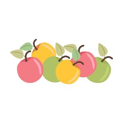 Bunch of colored apples, autumn harvest. Illustration in flat style, isolated.