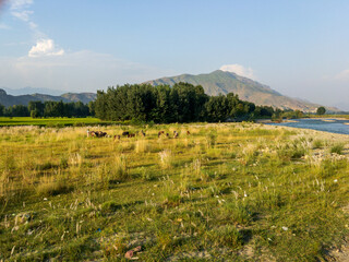 Fototapeta na wymiar Beautiful scenery of river swat in swat valley Pakistan