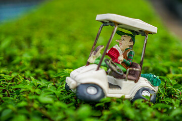 golf cart on a course