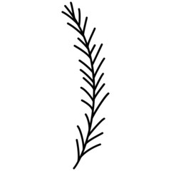 pine branch hand drawn outline doodle icon