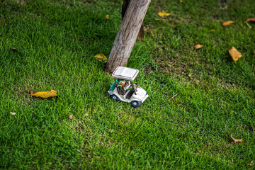 mowing the lawn