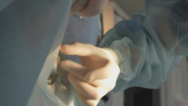 Vertical Video. Close up of Veterinarian Doctor in Rubber Gloves Working in a Surgery Room, Stitching Up a Wound During Surgery