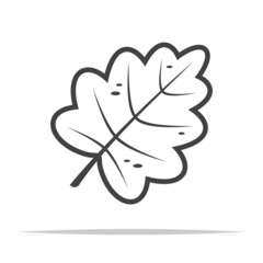 Catnip leaf icon transparent vector isolated