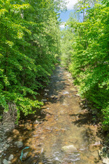 Zylica river among grass and trees at summer time.