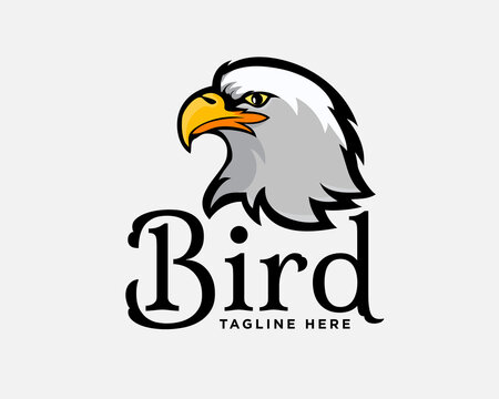 eagle hawk falcon head mascot logo template illustration inspiration