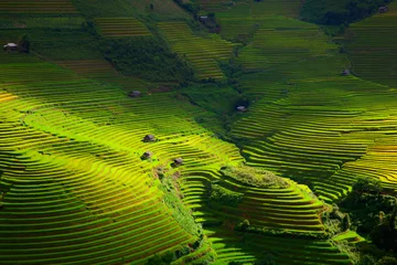 Acrylic prints Rice fields Terraced rice field in rice season in Sapa, Vietnam, soft focus