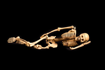 Sleeping Skeleton bones on dark background, Resting skull after party