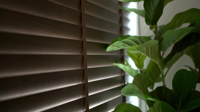 Wooden venetian blinds curtain shutter with green interior tree home decor