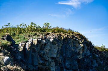 puffins en acantilados de Islandia