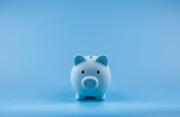 concept of saving money, investing, and interest in the future. Piggy bank and coins isolated on the background. Represents planning and management finances for growth of account funds.