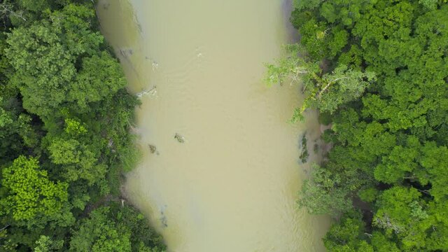 Drone aerial footage of river Rio Cahabon near Semuc Champey National Park in Guatemala lined by bright green rainforest trees. Bird's eye view POV. Camera tracking forwards. 