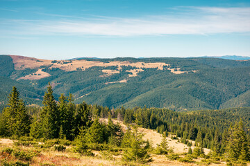 mountain landscape with forested hill. bright sunny afternoon autumn weather. arieseni mountains of romania. travel back country concept