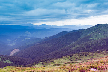 landscape of a Carpathians mountains