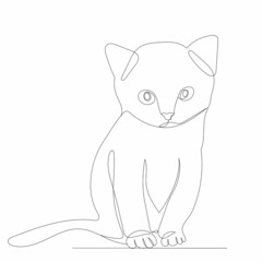 kitten drawing with one continuous line