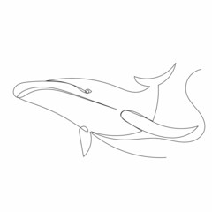 whale drawing by one continuous line, sketch